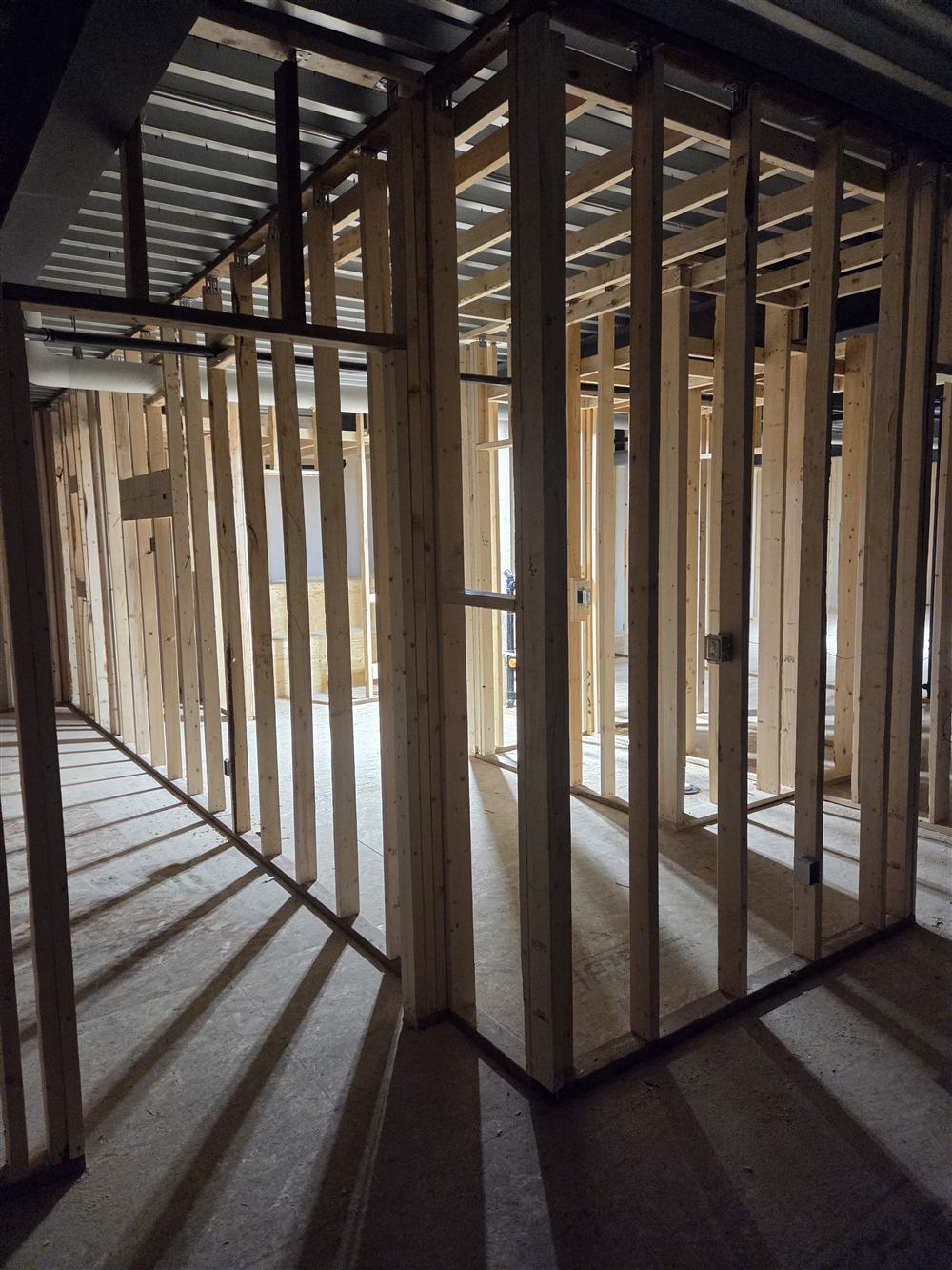 Commercial tenant space framed and roughed in